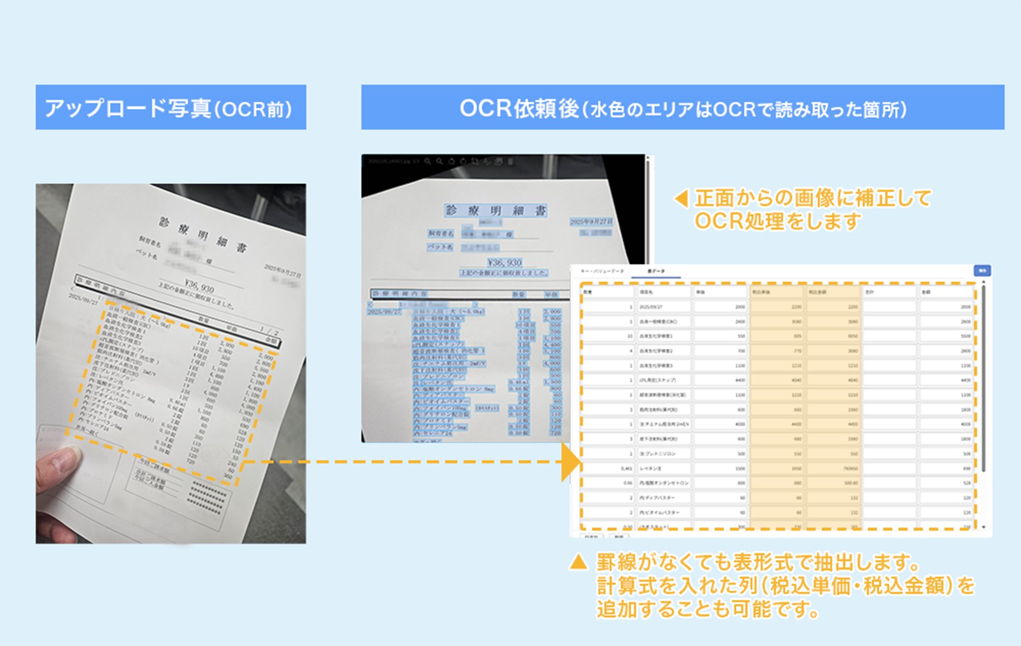 ペッツファースト＆グレイス少額短期保険株式会社  インタビュー
